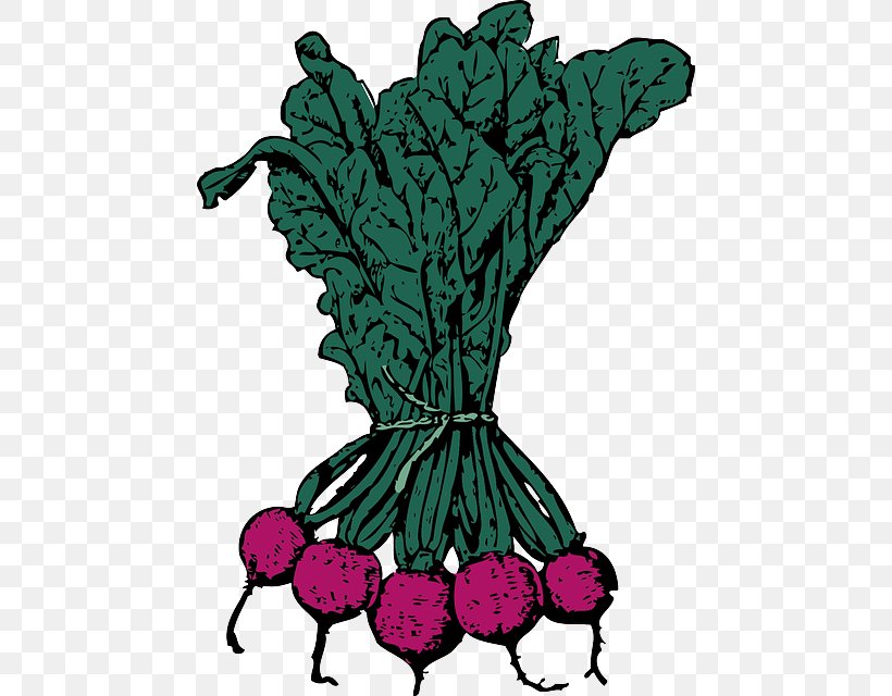 Beetroot Vegetable Sugar Beet Clip Art, PNG, 458x640px, Beetroot, Beta, Chard, Common Beet, Eggplant Download Free