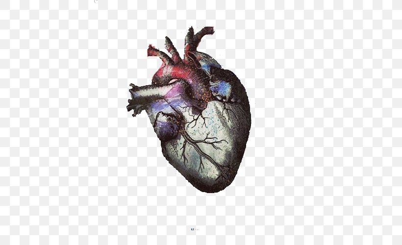 Drawing Heart Image Sketch, PNG, 500x500px, Drawing, Anatomy, Art, Deviantart, Feather Download Free
