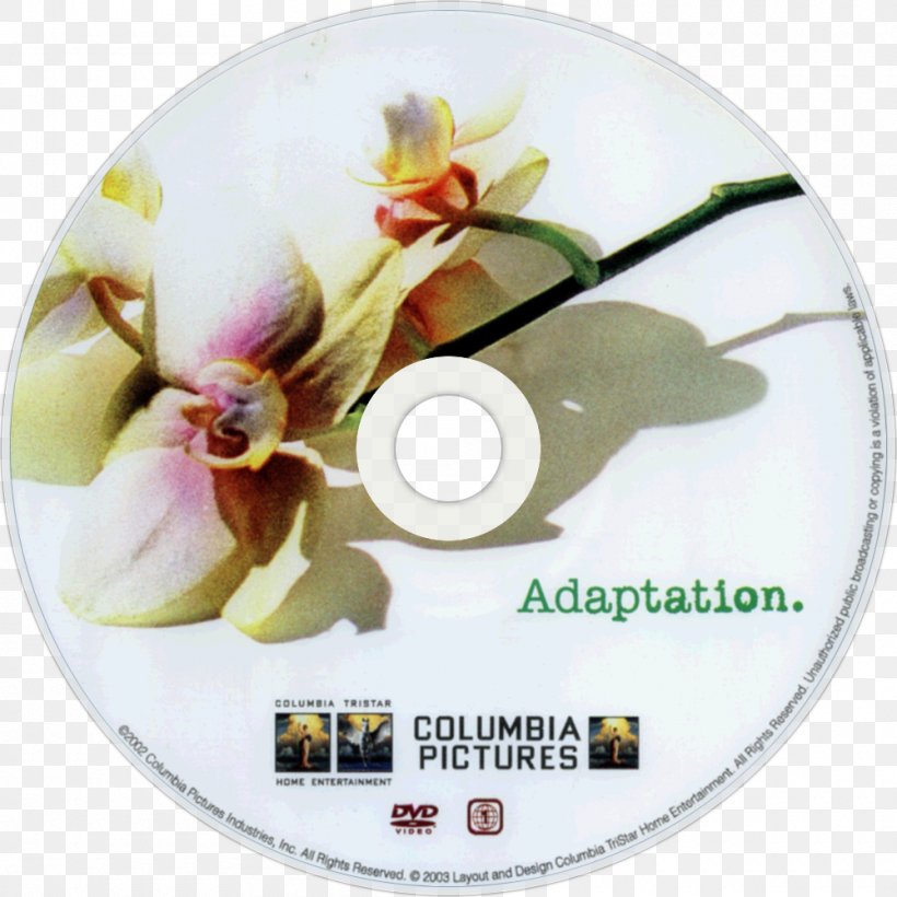 DVD Film Adaptation Photography Blu-ray Disc, PNG, 1000x1000px, Dvd, Adaptation, Bluray Disc, Compact Disc, Film Download Free