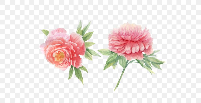 Peony Watercolor Painting, PNG, 600x421px, Peony, Artificial Flower, Carnation, Centifolia Roses, Creative Market Download Free