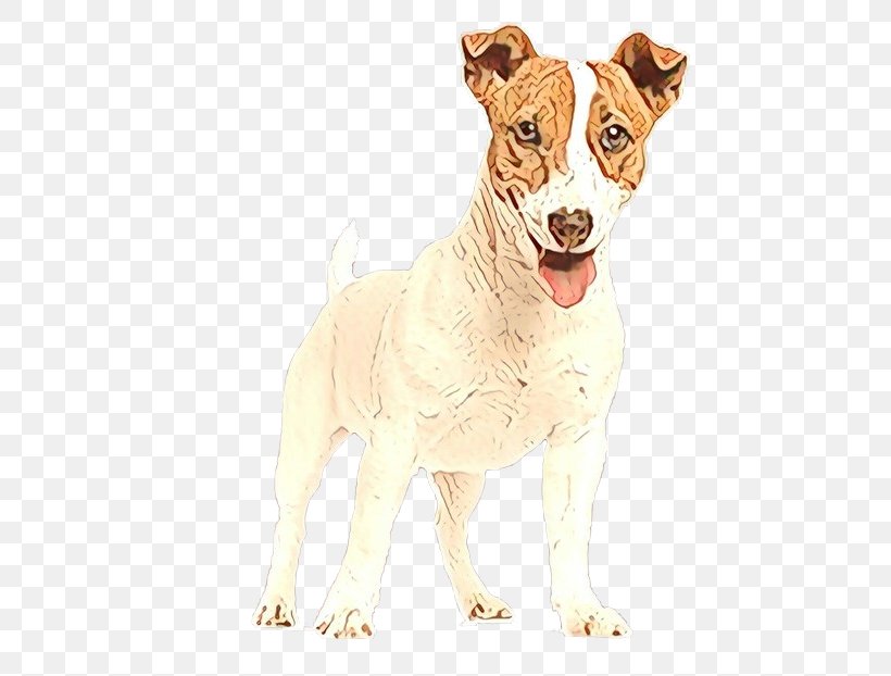 Fox Drawing, PNG, 658x622px, Dog, Ancient Dog Breeds, Breed, Chilean Fox Terrier, Companion Dog Download Free