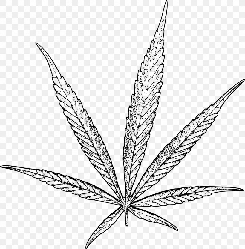 Hash, Marihuana & Hemp Museum Cannabidiol Cannabis Sativa, PNG, 1258x1280px, Hash Marihuana Hemp Museum, Black And White, Cannabidiol, Cannabinoid, Cannabis Download Free
