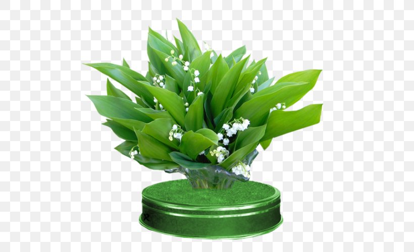 Lily Of The Valley Flower Leaf, PNG, 500x500px, Lily Of The Valley, Albom, Animaatio, Aquarium Decor, Cartoon Download Free