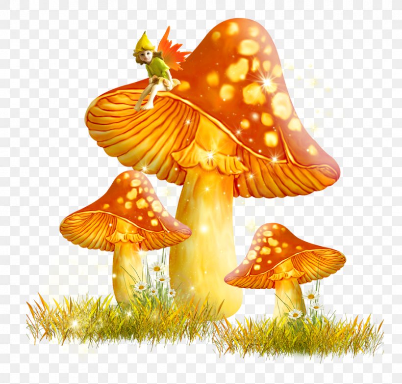 Mushroom Fungus Clip Art, PNG, 913x871px, Mushroom, Common Mushroom, Drawing, Fungus, Magic Mushrooms Download Free