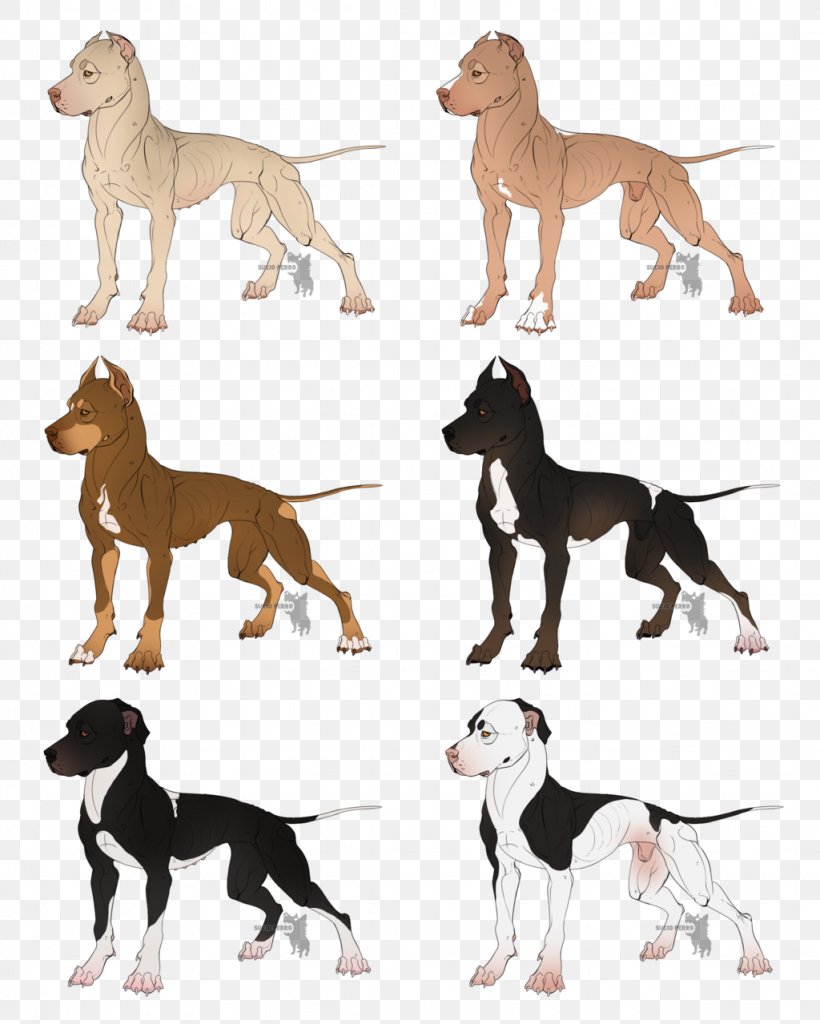 Saluki Sloughi Italian Greyhound Dog Breed, PNG, 1024x1279px, Saluki, Breed, Carnivoran, Companion Dog, Crossbreed Download Free