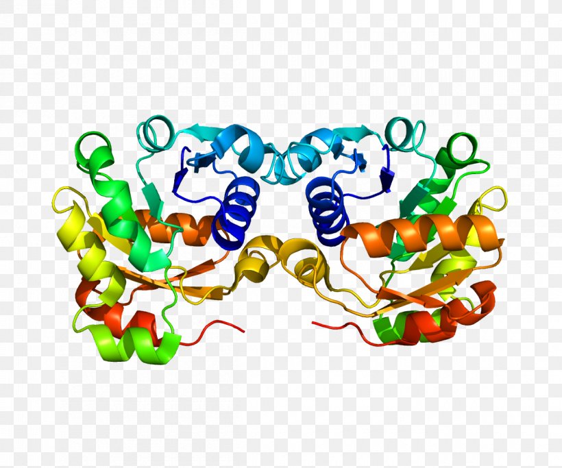 STEAP3 STEAP Family Member 3 Gene Protein Human, PNG, 1200x1000px, Gene, Art, August 4, Body Jewelry, Chromosome Download Free