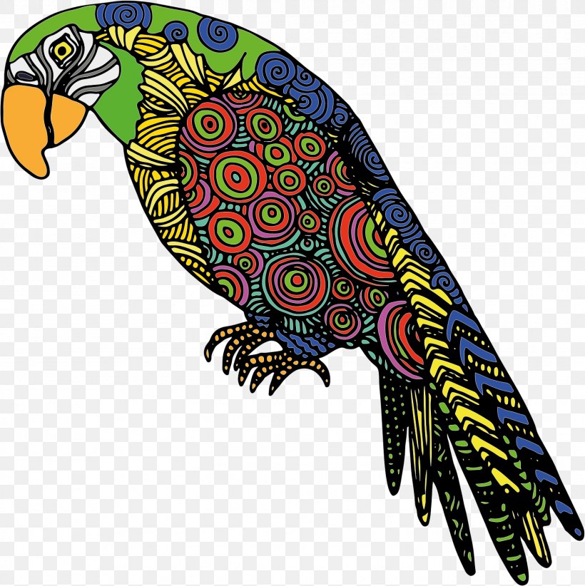 Bird Parrot Clip Art, PNG, 1549x1553px, Bird, Art, Beak, Bird Of Prey, Color Download Free
