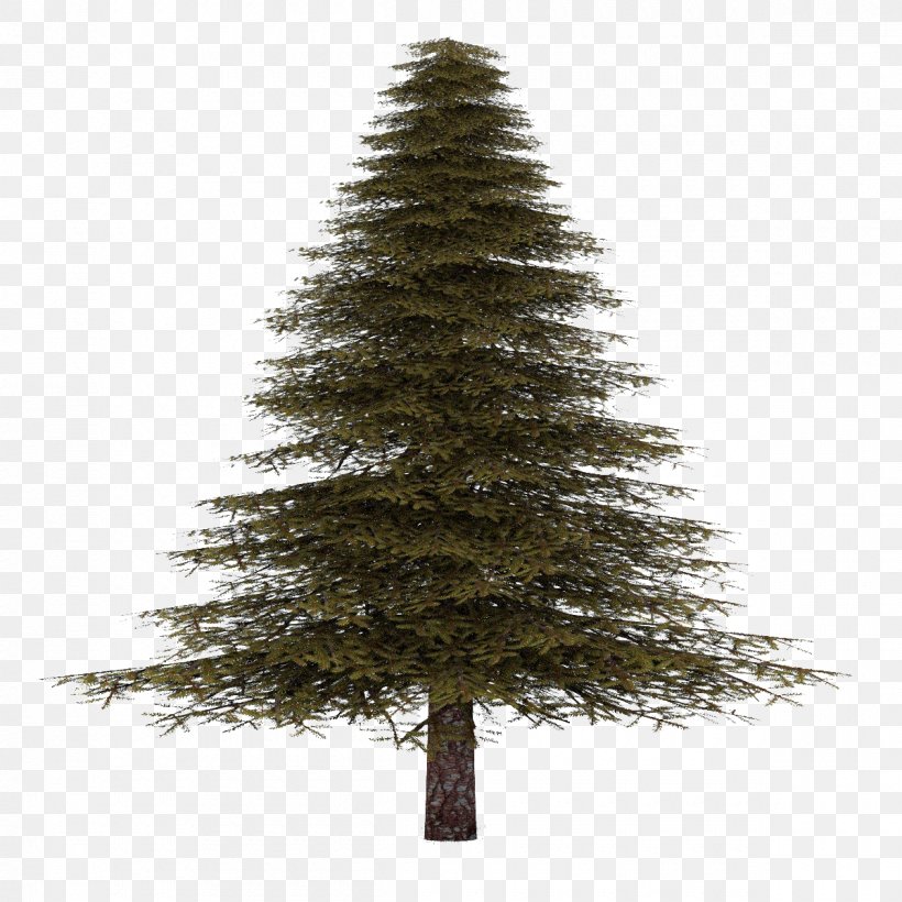 Christmas Black And White, PNG, 1200x1200px, Pine, American Larch, Balsam Fir, Bigtree, Biome Download Free