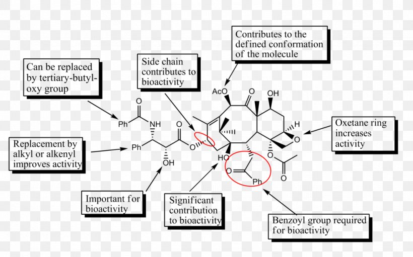 Discovery And Development Of Tubulin Inhibitors Structure–activity Relationship Paclitaxel Docetaxel Anhydrous, PNG, 1024x639px, Tubulin, Alkaloid, Area, Auto Part, Chemical Synthesis Download Free