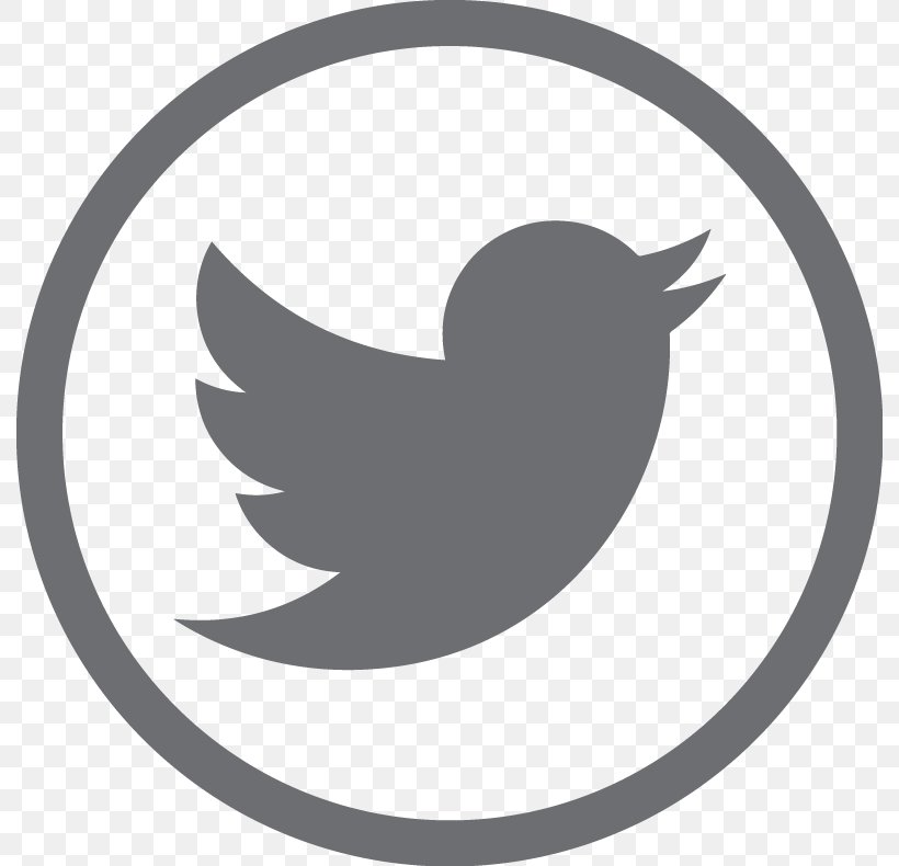 Logo Brand Social Media Marketing User, PNG, 790x790px, Logo, Beak, Bird, Black And White, Brand Download Free