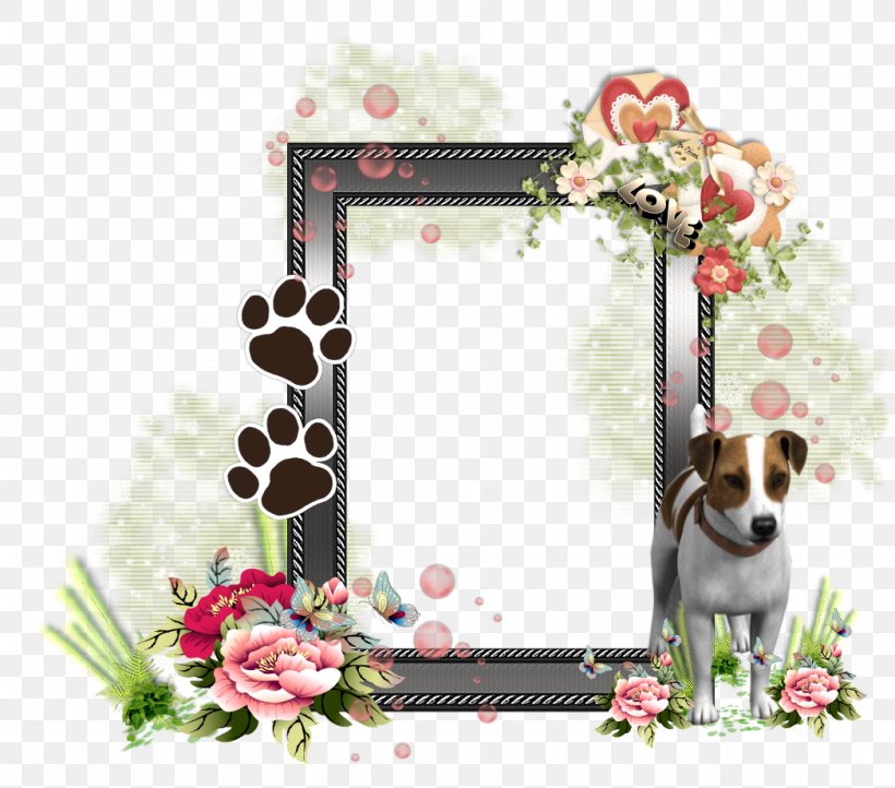 Picture Frames Jack Russell Terrier, PNG, 1047x923px, Picture Frames, Adobe Systems, Copying, Cut Flowers, Dog Download Free