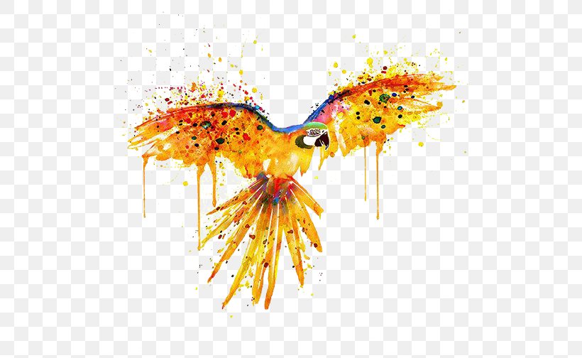 Parrot Bird Watercolor Painting Illustration, PNG, 504x504px, Parrot, Art, Bird, Flower, Orange Download Free