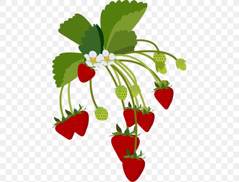 Strawberry Illustration Clip Art Daifuku, PNG, 463x624px, Strawberry, Blog, Branch, Cartoon, Daifuku Download Free