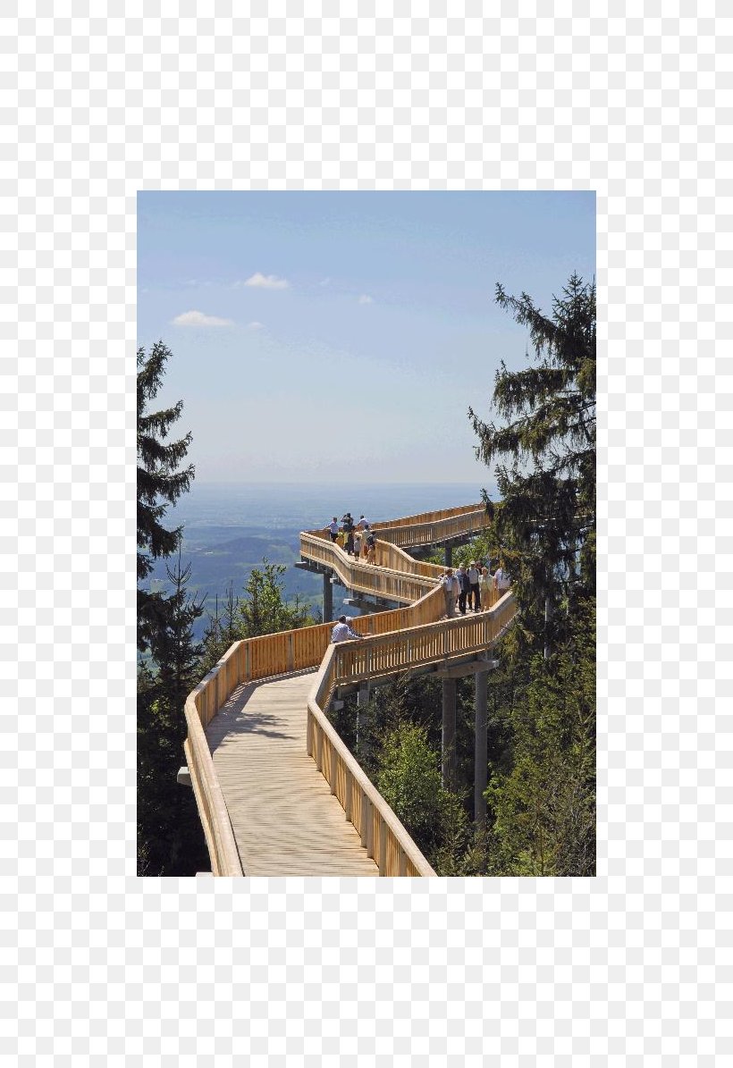 Waldwipfelweg Bavarian Forest Maibrunn Holiday Village Canopy Walkway, PNG, 800x1195px, Bavarian Forest, Architecture, Bavaria, Canopy Walkway, Christianity Download Free
