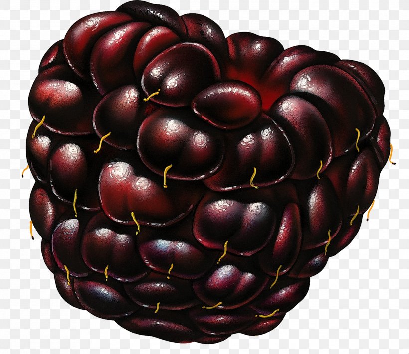 Blackberry Fruit Frutti Di Bosco, PNG, 1371x1190px, Berry, Blackberry, Boysenberry, Food, Fruit Download Free