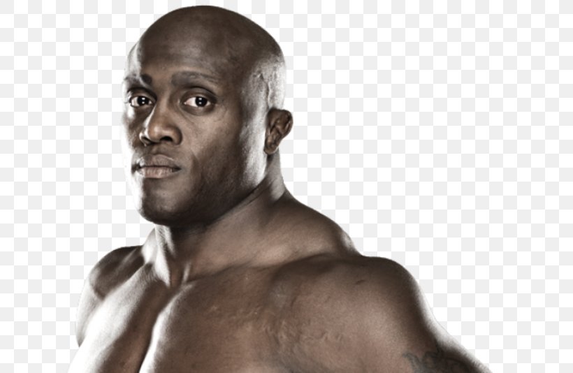 Bobby Lashley Bellator MMA In 2015 Mixed Martial Arts Bellator 179, PNG, 800x534px, Watercolor, Cartoon, Flower, Frame, Heart Download Free