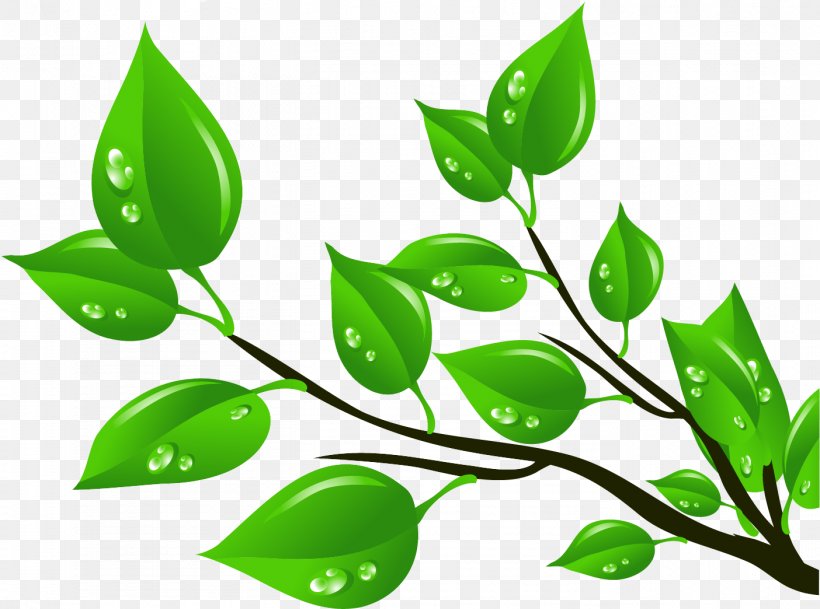 Leaf Clip Art, PNG, 1404x1044px, Leaf, Art, Autumn Leaf Color, Branch, Flora Download Free