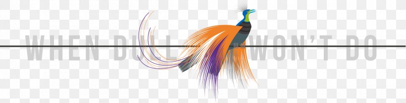 Line Point Angle Recreation Feather, PNG, 2400x613px, Point, Beak, Feather, Joint, Ranged Weapon Download Free