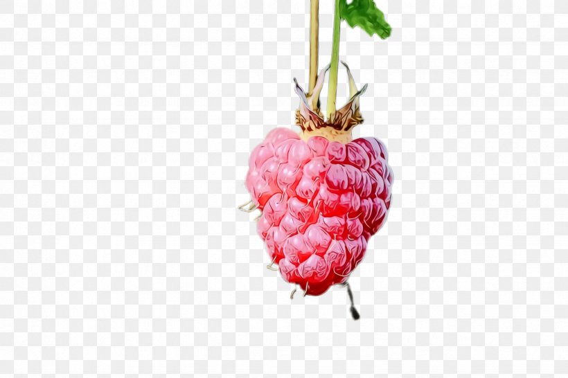 Strawberry, PNG, 2448x1632px, Watercolor, Berry, Blackberry, Food, Fruit Download Free