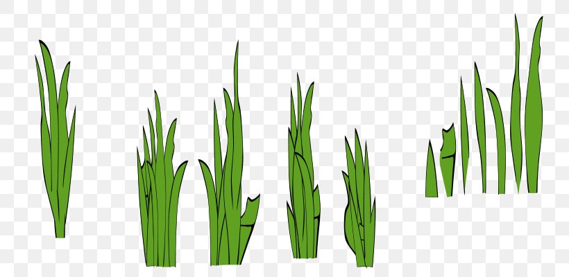 Clip Art, PNG, 800x400px, Royaltyfree, Cartoon, Commodity, Grass, Grass Family Download Free