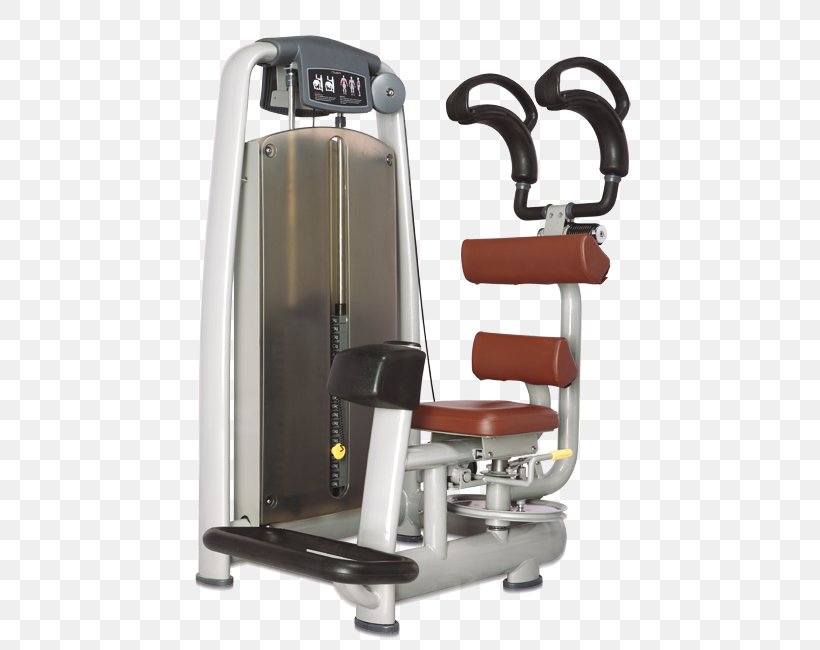 Exercise Machine Exercise Equipment Fitness Centre Physical Fitness, PNG, 555x650px, Exercise Machine, Al Khayat General Trading, Crunch, Exercise, Exercise Equipment Download Free
