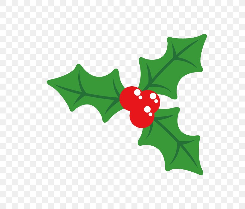 Holly Christmas Plant, PNG, 700x700px, Holly, Aquifoliaceae, Aquifoliales, Auglis, Christmas Download Free