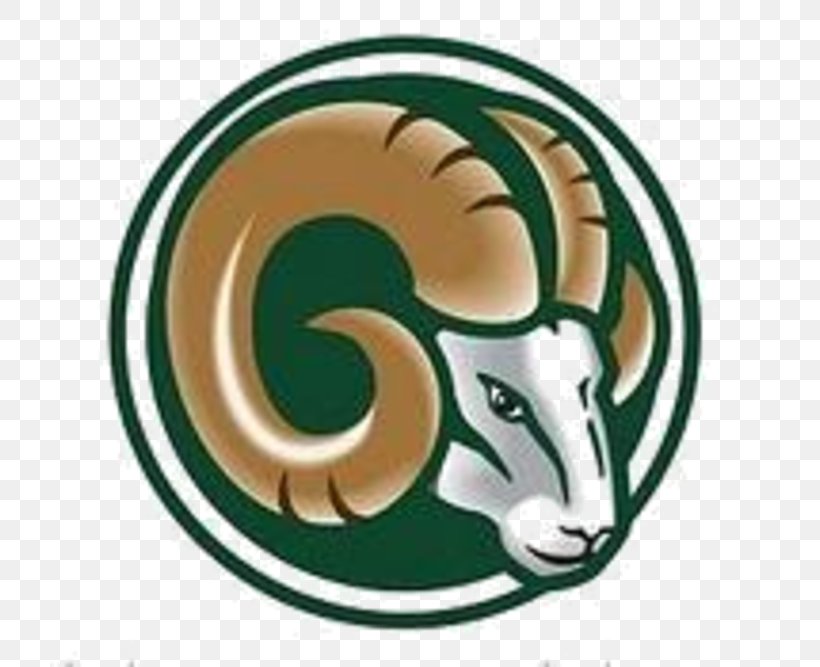 Murrieta Mesa High School Los Angeles Rams Murrieta Mesa Vs Vista Murrieta Viking Invitational American Football, PNG, 720x667px, Los Angeles Rams, American Football, Antelope, Brand, California Download Free