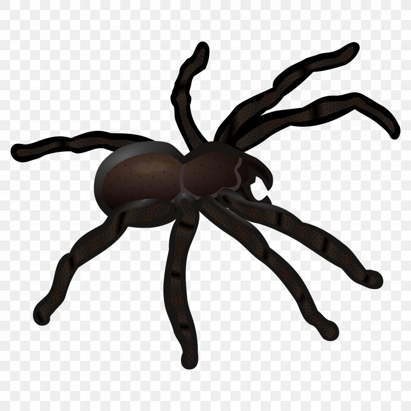 Spider Web Clip Art, PNG, 2400x2400px, Spider, Animal Figure, Arachnid, Arthropod, Blog Download Free