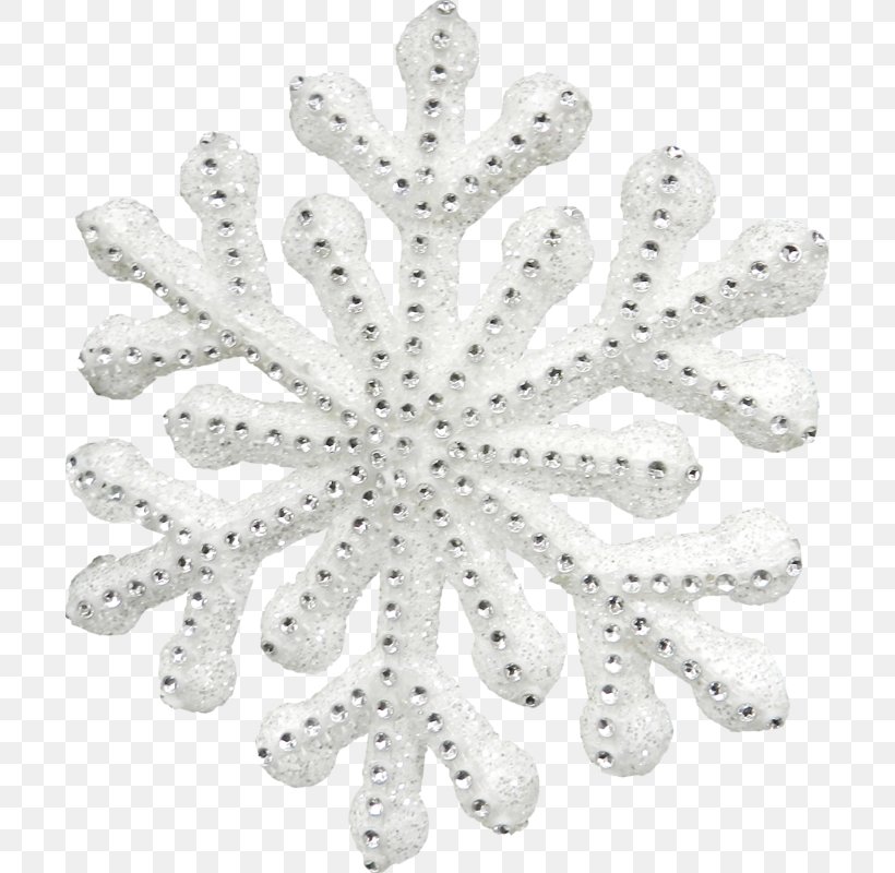 White Snowflake, PNG, 699x800px, White, Black, Black And White, Doily, Photography Download Free
