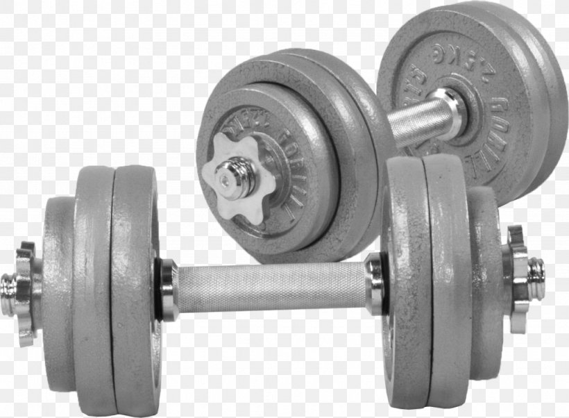 Dumbbell Gorilla Sports 30 KG Gusseisen Kurzhantelset Cast Iron Gorilla Sports Kurzhantelset Gorilla Sports 30 KG Gripper Kurzhantelset, PNG, 1024x753px, Dumbbell, Auto Part, Barbell, Cast Iron, Exercise Equipment Download Free