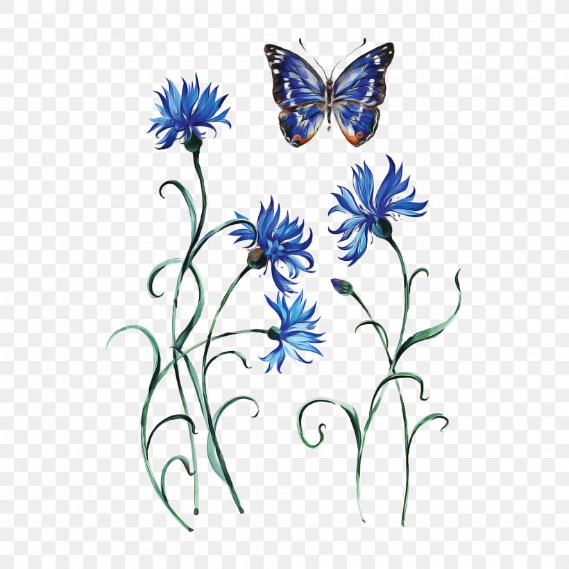 Monarch Butterfly Drawing, PNG, 2000x2000px, Butterfly, Blue, Brushfooted Butterfly, Butterfly Moth, Cornflower Download Free