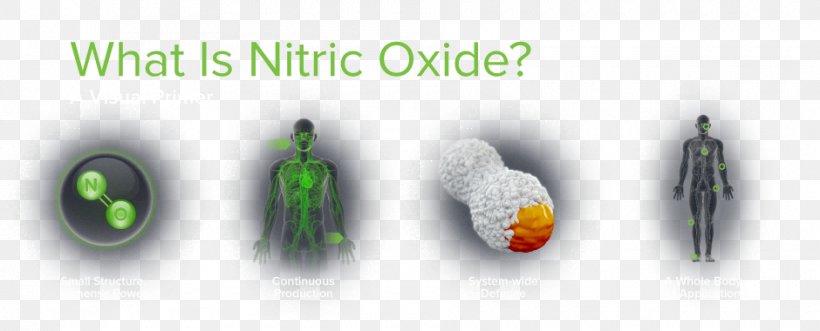 Nitric Oxide Nitric Acid Inflammation Novan, PNG, 940x380px, Nitric Oxide, Antimicrobial, Bacteria, Brand, Human Physiology Download Free