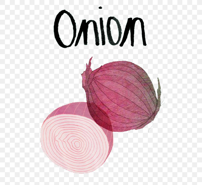 Red Onion Vegetable Food Illustration, PNG, 564x752px, Onion, Allium Fistulosum, Drawing, Food, Leek Download Free