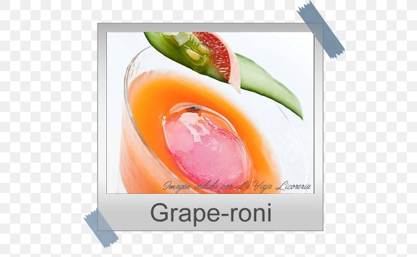 Vermouth Cocktail Entrée Drink Food, PNG, 536x506px, Vermouth, Bar, Bartender, Bottle, Bottle Shop Download Free