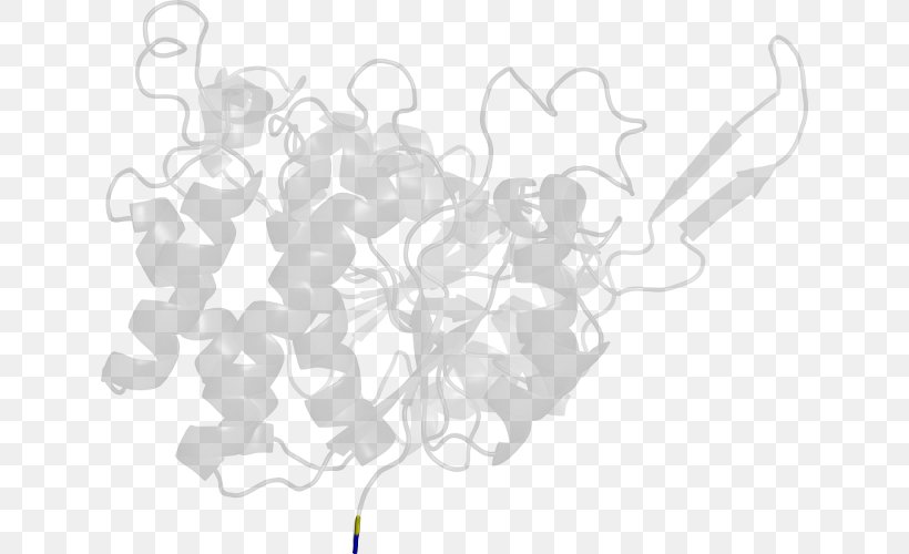 White Line Clip Art, PNG, 638x500px, White, Black, Black And White, Branch, Flower Download Free
