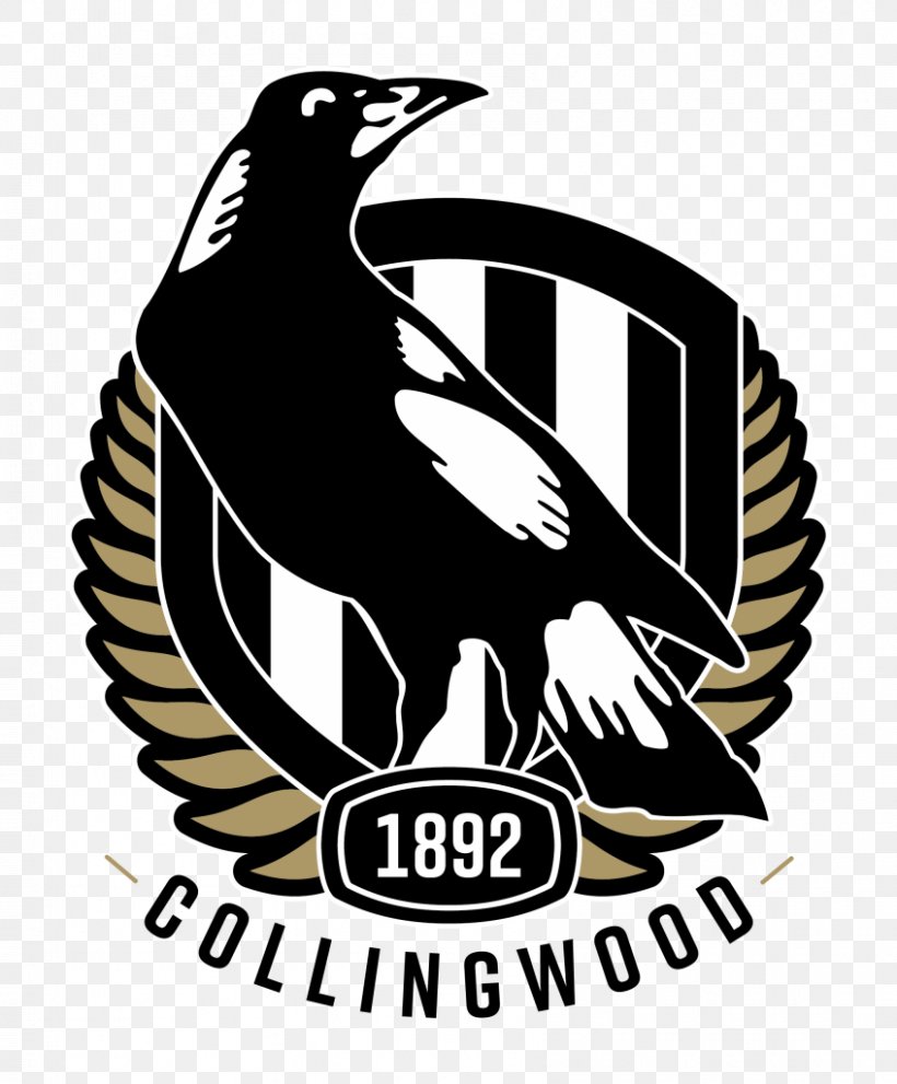 2018 Collingwood Football Club Season 2018 AFL Season 2018 AFL Finals Series 2018 AFL Women's Season, PNG, 847x1024px, 2018, 2018 Afl Season, Collingwood Football Club, Australian Football League, Australian Rules Football Download Free