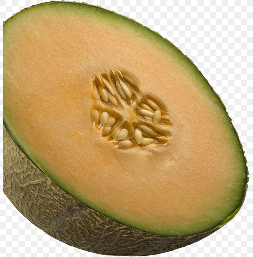 Cantaloupe Glisodin Nutricosmetics Nutrient Antioxidant, PNG, 799x832px, Cantaloupe, Antioxidant, Cosmetics, Cucumber Gourd And Melon Family, Enzyme Download Free