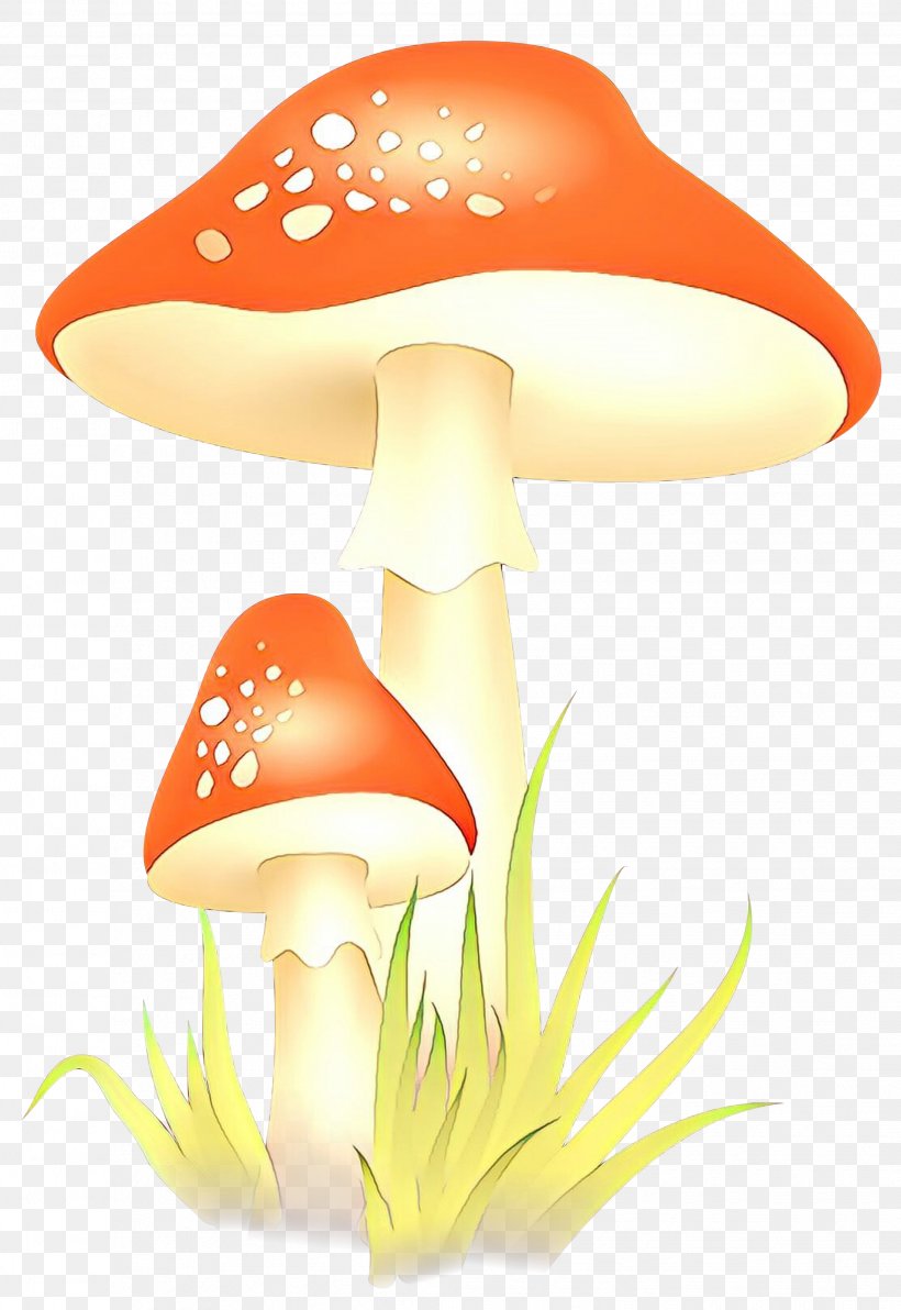 Clip Art Illustration Image Mushroom, PNG, 2063x3000px, Mushroom, Agaric, Agaricaceae, Agaricomycetes, Art Download Free