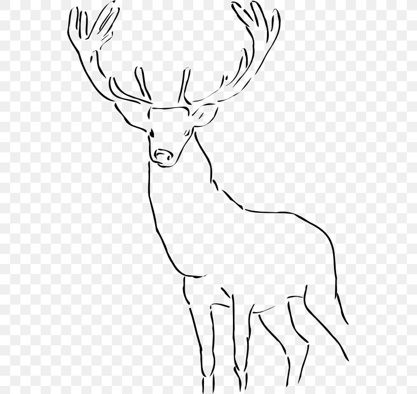 Deer Drawing Clip Art, PNG, 555x776px, Deer, Antler, Art, Black And White, Cattle Like Mammal Download Free