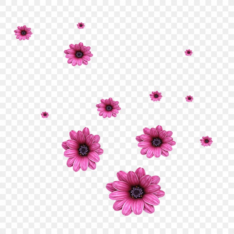 Flower Computer File, PNG, 1000x1000px, Flower, Alpha Channel, Communication Channel, Dahlia, Editing Download Free