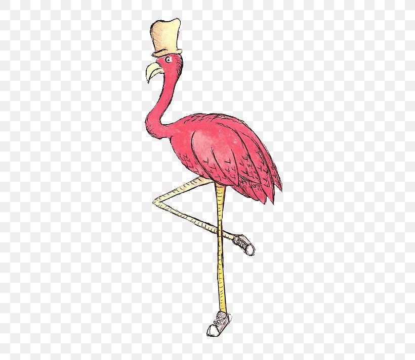 Ostrich, PNG, 500x713px, Adobe Freehand, Beak, Bird, Crane Like Bird, Flamingo Download Free