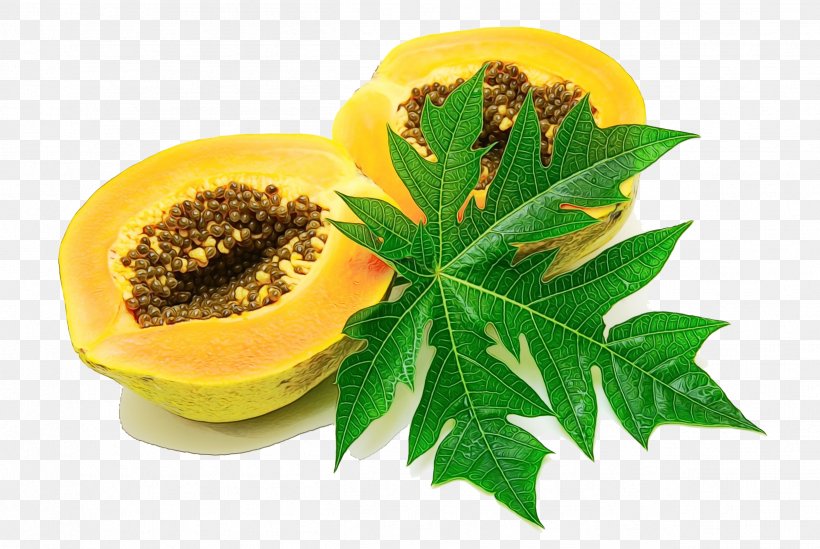Papaya Leaf, PNG, 2503x1676px, Papaya, Cure, Diet, Dietary Supplement, Flower Download Free