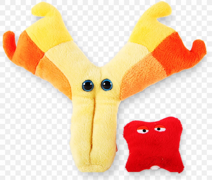 Stuffed Animals & Cuddly Toys Antibody GIANTmicrobes Microorganism Immune System, PNG, 900x765px, Stuffed Animals Cuddly Toys, Antibody, Antigen, Bacteria, Blood Plasma Download Free