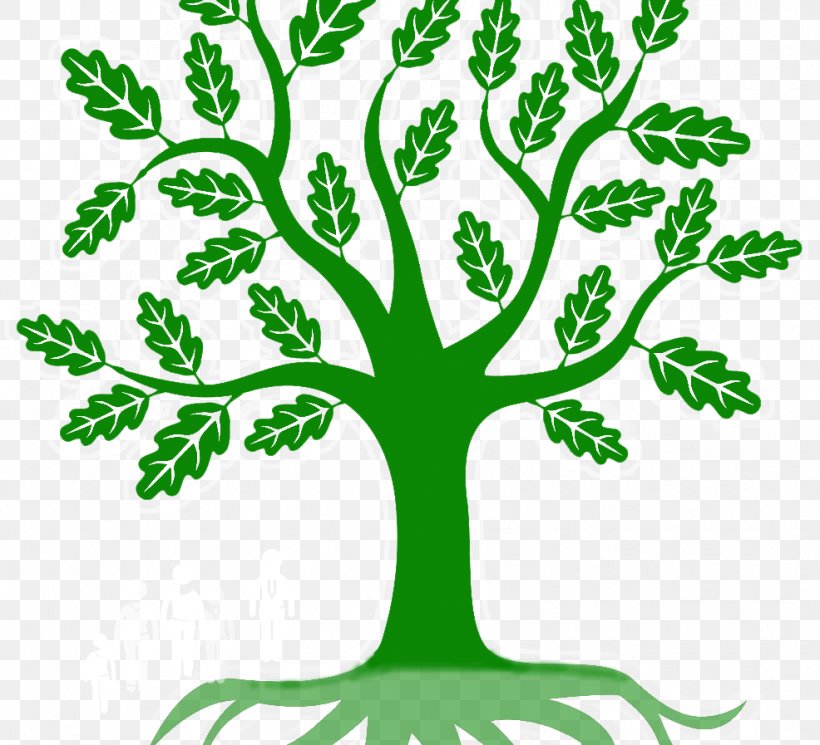 Branch Green Leaf Root Clip Art, PNG, 986x897px, Branch, Artwork, Flora, Flower, Grass Download Free