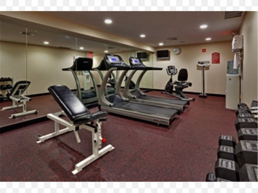 Fitness Centre Property Physical Fitness Floor Room, PNG, 1024x768px, Fitness Centre, Exercise Machine, Floor, Flooring, Gym Download Free