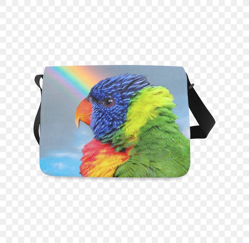 Loriini Rainbow Lorikeet Budgerigar Cockatiel Bag, PNG, 800x800px, Watercolor, Cartoon, Flower, Frame, Heart Download Free