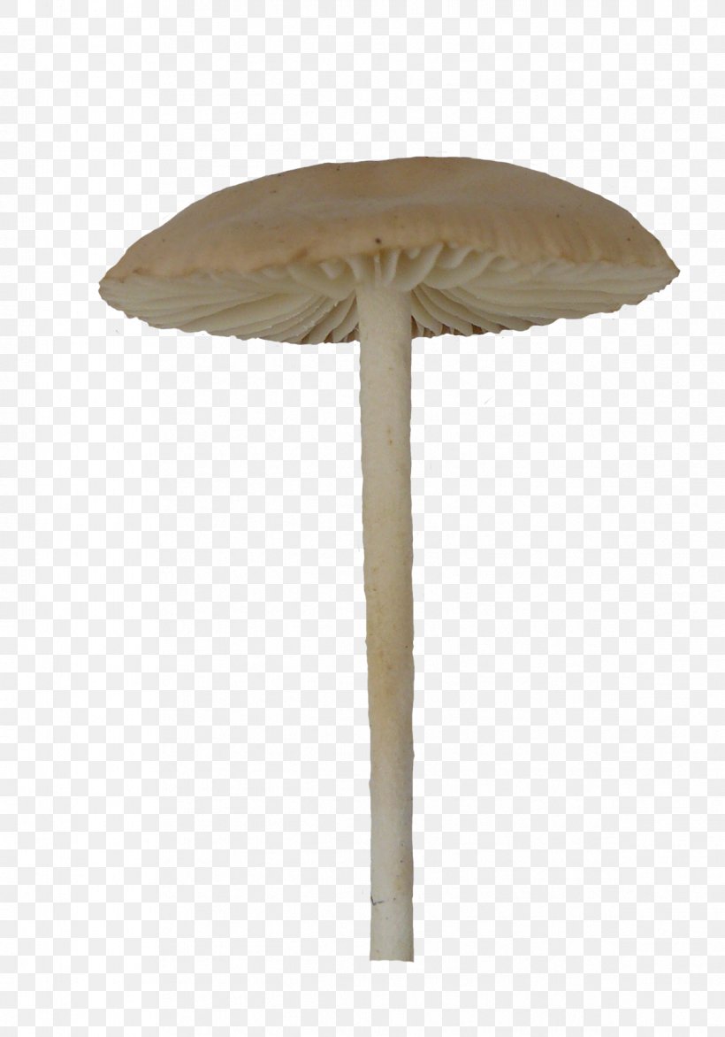 Mushroom Umbrella Fungus Macrolepiota Procera, PNG, 1194x1707px, Mushroom, Black, Fungus, Furniture, Macrolepiota Procera Download Free