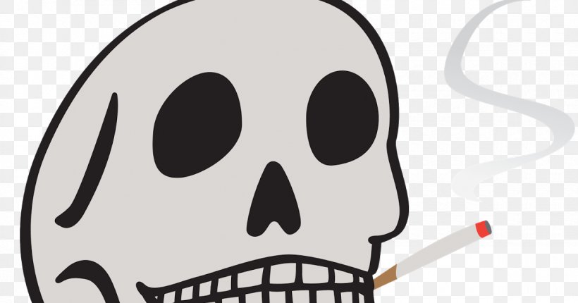 Nose Skull Bone Head Face, PNG, 1200x630px, Nose, Bone, Cartoon, Face, Fictional Character Download Free