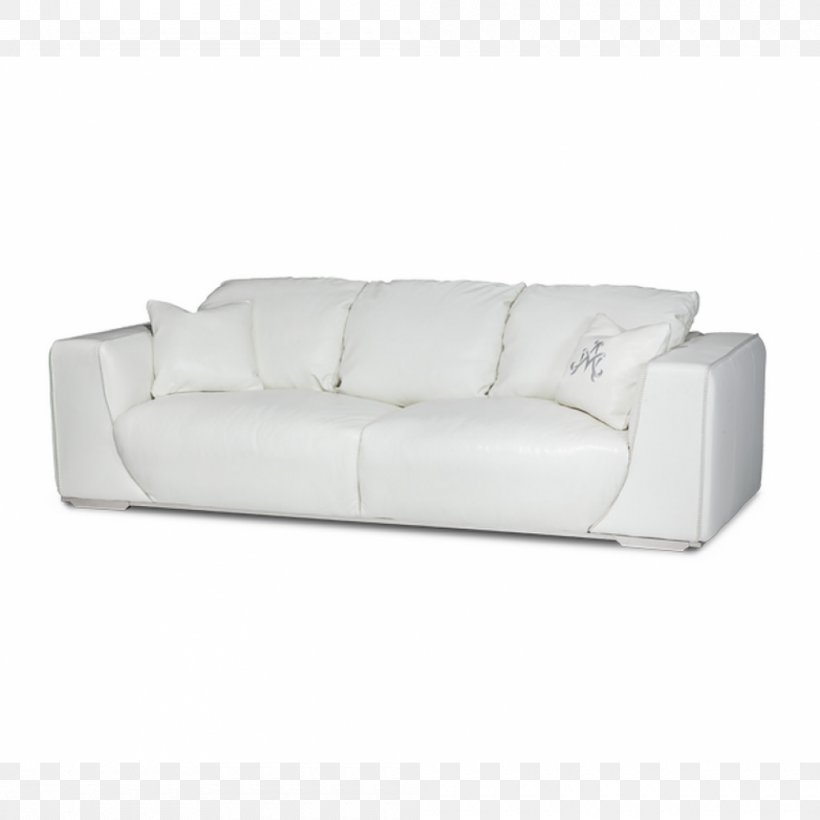 Sofa Bed Couch Comfort, PNG, 1000x1000px, Sofa Bed, Bed, Comfort, Couch, Furniture Download Free