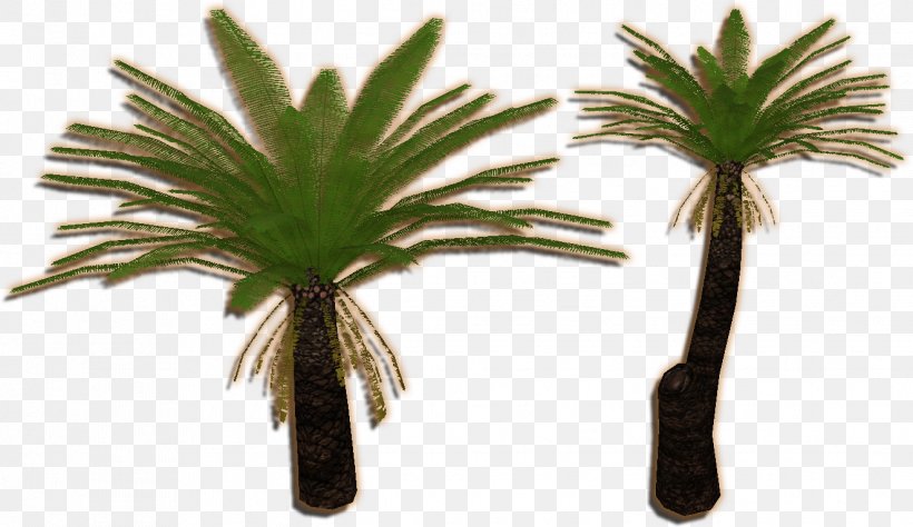 Zoo Tycoon 2 Plant Arecaceae Cycad Tree, PNG, 1324x766px, Zoo Tycoon 2, Arecaceae, Arecales, Carboniferous, Cicadas Download Free